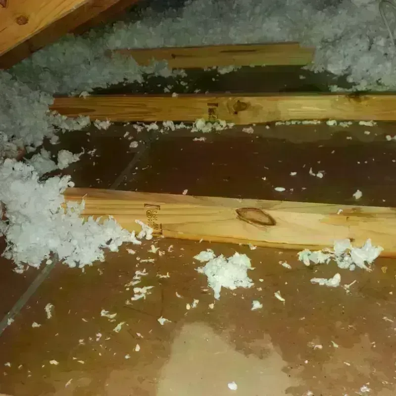 Attic Water Damage in Haverhill, MA